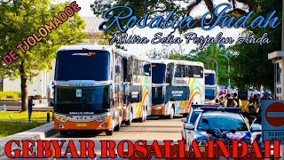 GEBYAR ROSALIA INDAH | MILLENIAL BUS | DE TJOLOMADOE