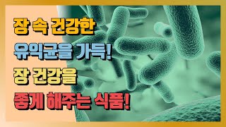 [하루꿀팁] 장 속 건강한 유익균을 가득! 장 건강을 좋게 해주는 식품!