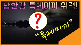 남한강에서 특제미끼를 썻더니! 효과직빵! 그 위력을 확인하세요! /carp fishing / 장어낚시