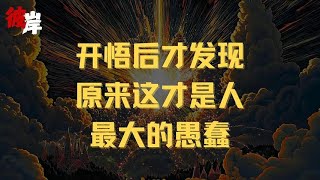 开悟后才发现原来这才是人最大的愚蠢！