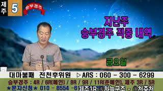 전천후0811토 경마방송