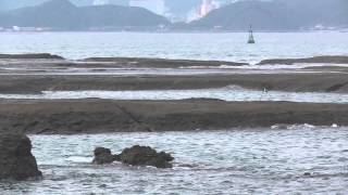 本日の田辺市の地磯天神崎の様子