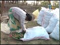 export of lady finger from ap to germany vijayanagaram farmer experience etvannadata