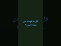 قل ما فهمت عن سورة يس-٣ #ثمرات #ثمرات_الكتاب #ثمرات_الكتاب_المثمرة