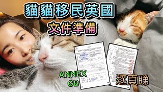 #寵物移民 🇬🇧 • 自己DIY | 如何填寫貓貓移民文件🐈