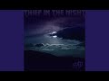Thief in the Night