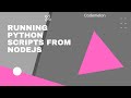 Running python script from Nodejs || codemelon || #nodejs #codemelonyoutube #python