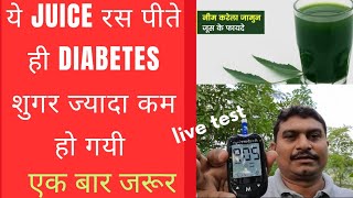 ये JUICE रस पीते ही शुगर Diabetes कम  हो गई / करेला नीम तुलसी रस के फायदे, sugar test live