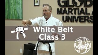 Shotokan Karate Beginner Follow Along Training Class - 9th Kyu White Belt -  Class 3