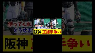 藤川阪神　大注目の正捕手争い！！！【野球情報】【2ch 5ch】【なんJ なんG反応】【野球スレ】