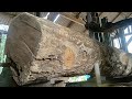 Jackfruit wood sawing process