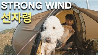 강한 바람이 잠식하는 곳 -바람소리에 못잘수도 있는 strong wind backpacking - Hilleberg Helags3