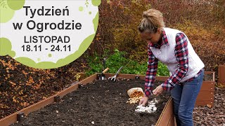 Listopad w ogrodzie. Kalendarz ogrodnika na 18.11 - 24.11. Prace ogrodnicze w listopadzie