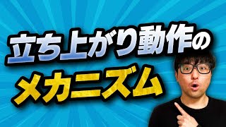 立ち上がり動作のメカニズム