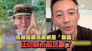 張蘭暗諷張穎穎是「臭蟲」 汪小菲不忍反擊了｜娛樂星世界