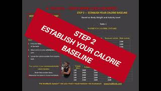 Stop Guessing. Start Structuring. | Multibolic System™ Phase 8