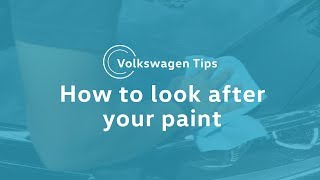 VW Tips How To Look After Your Paint