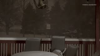 Montage of Thundersnow in Michigan