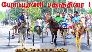 1பேராவூரணி 15,000 ஆயிரம் புதுக்குதிரை 1 27,01,2025