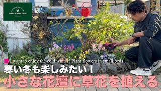 寒い冬も楽しみたい！／小さな花壇に草花を植える！【冬のガーデニング】-フローラ黒田園芸- Winter gardening/ガーデニング　園芸　花壇