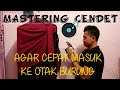 CARA MEMASTER BURUNG CENDET YANG BAIK DAN BENAR