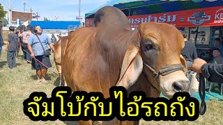 จัมโบ้กับรถถัง:โชคเนรมิตรฟาร์ม