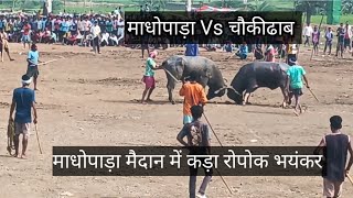 माधोपाड़ा Vs चौकीढाब at माधोपाड़ा मैदान में 2024