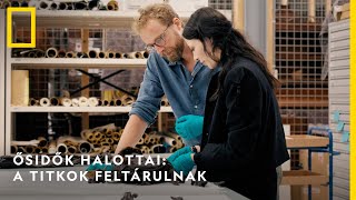 Ősidők halottai: A titkok feltárulnak június 23-tól vasárnaponként 18:00-kor I National Geographic