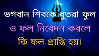 ভগবান শিবকে  ধুতরা ফুল ও ফল নিবেদন করলে কি ফল প্রাপ্তি হয়।/shiv puja at home/puran kotha