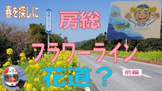 ヤシの並木や海沿いの整備された道路は気分よく流せるおすすめコース