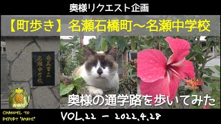 【#22 #奄美大島 町歩き】奥様リクエスト企画「名瀬石橋町から名瀬中学校へ」かつての通学路を歩いてみた。/ Go to "Naze - junior high school".