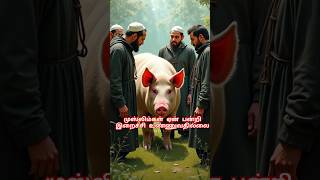 Why Do Muslims Hate Ham So Much?