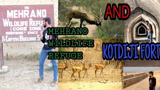 Mehrano Wildlife Refuge \u0026 Kotdiji Fort Vlog..❤️