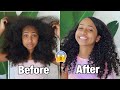 BRAIDOUT TRANSFORMATION! FT. CURLDAZE HAIR CARE