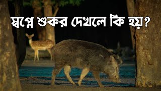 স্বপ্নে শুকর দেখলে কি হয় | স্বপ্নে প্রাণী দেখলে কি হয় | স্বপ্নে কুকুর দেখলে কি হয় | dream | sopno