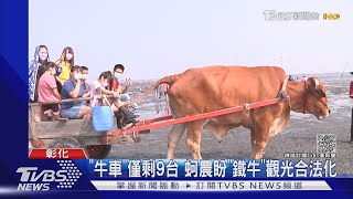 海空步道爆紅 「鐵牛」採蚵車載客卻違法｜TVBS新聞