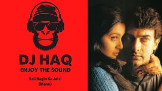 Kali Nagin Ke Jaisi | Mann | DJ Haq | Aamir Khan | Rani Mukherjee | Bollywood Remix