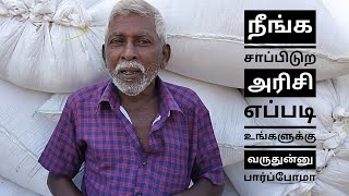 அறுவடை நேரம் | நெல் அறுவடை | விவசாயம் | விவசாயின் வாழ்க்கை