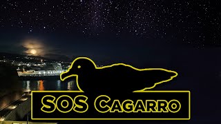 SOS Cagarro: A Nocturnal CONSERVATION ADVENTURE