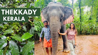 Thekkady Kerala | Things to do in Thekkady | Places to Visit, Eat, Stay | A-Z Travel Guide