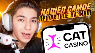 СКОРЕЕ ЗАХОДИ НА КЭТ КАЗИНО ⭐️ САМЫЙ НАДЕЖНЫЙ КАЗИК CAT CASINO ⭐️ Новые Слоты