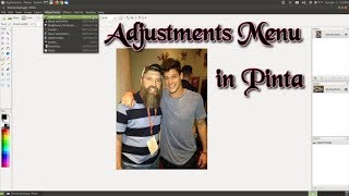 Pinta: Adjustments Menu