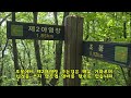 양양군 조봉 산행이야기 등산하는남자 천고지를걷다쉬다 1000m 오지산행