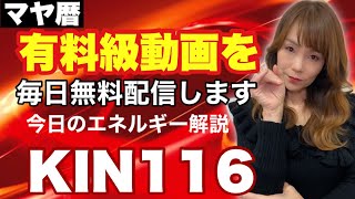 【マヤ暦】9月11日　今日のエネルギー解説　KIN１１６　赤い蛇・黄色い戦士・波動数１２