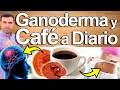 Café Con Ganoderma A Diario - Para Qué Sirve? - Beneficios Para Tu Salud Y Belleza