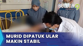 Murid Tahun 1 Dipatuk Ular Stabil, JPN Perlis Bantu Pembelajaran