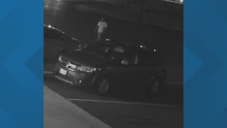 Killeen police in search of driver involved in a deadly hit and run