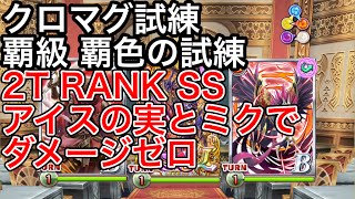 黒猫のウィズ クロムマグナの試練 覇級 覇色の試練 2T RANK SS アイスの実とミクでダメージゼロ