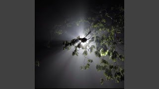 Final Lightz, Pt. 2