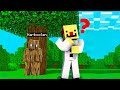 Minecraft, I Shapeshift To Cheat In Minecraft Hide And Seek || Minecraft Mods || Minecraft gameplay